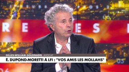 Gilles-William Goldnadel : «Rima Hassan ment effrontément»