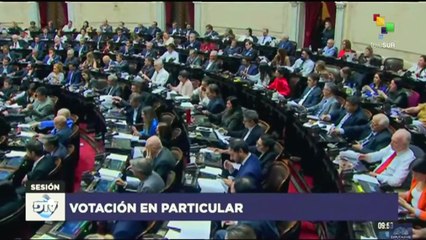 Diputados argentinos aprobaron con 142 votos a favor la ley bases