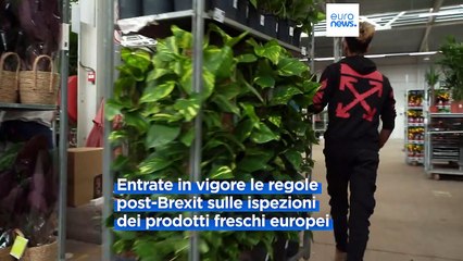 Brexit, nuove regole sui prodotti freschi europei: preoccupano le ispezioni alla frontiera