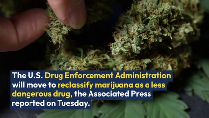 Breaking: DEA Reportedly Moves To Reschedule Cannabis, Stocks Rise Sharply On The News