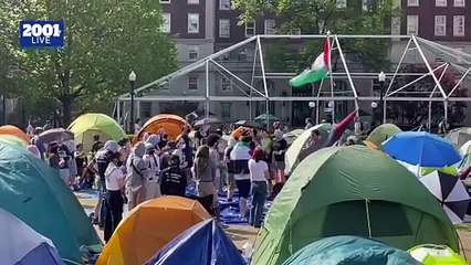 Estudiantes continúan firmes en apoyo a Palestina