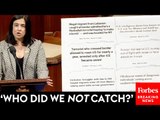 Nicole Malliotakis Sounds Alarm About Terror Threat Posed By Some Migrants Coming Through Border