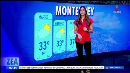 Inicia la temporada de arañas