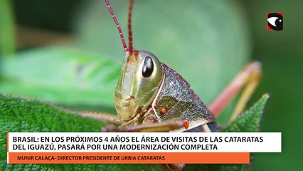 En los próximos 4 años el área de visitas de las Cataratas del Iguazú, pasará por una modernización completa