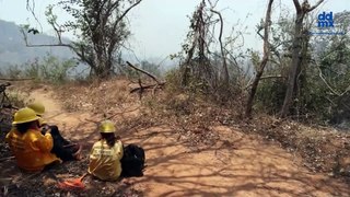 A seis meses de Otis, incendios forestales azotan a Acapulco