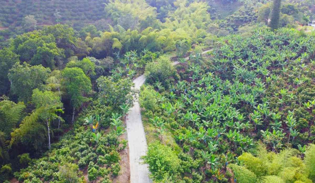 vias terciarias Colombia