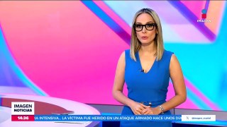 MC acusa simulación de campaña política de Adrián de la Garza