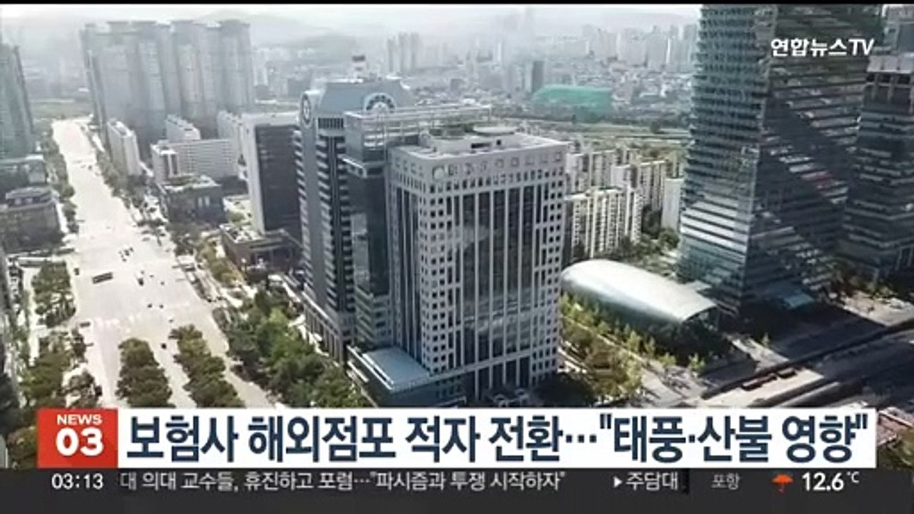 보험사 해외점포 적자 전환…"태풍·산불 영향"