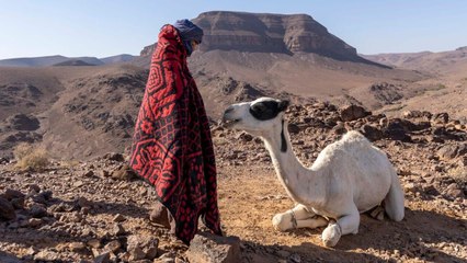 Zodi et Téhu, frères du désert
