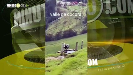 Imponente cóndor de los Andes sorprendió a turistas refrescándose en un estanque en el Quindío