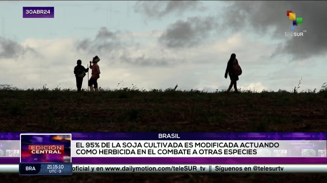 4 países sudamericanos denuncian a la multinacional Bayers Monsanto por prácticas ilegales contra la naturaleza.