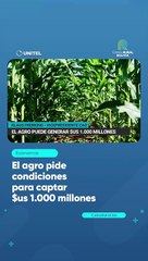 El agro pide condiciones para captar $us 1.000 millones