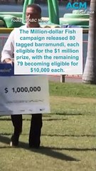 Teenager wins NT million dollar fish competition