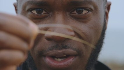 Les secrets de l'évolution