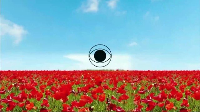 Bob Hearts Abishola Season 5 Episode 13 Promo