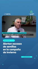 Alertan escasez de semillas en la campaña de invierno