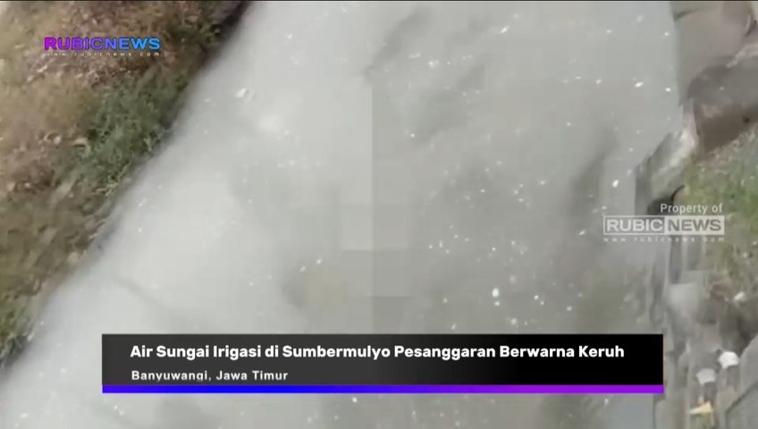 Air Sungai Irigasi di Sumbermulyo Pesanggaran Berwarna Keruh Diduga Tercemar Limbah, Ini Penyebabnya