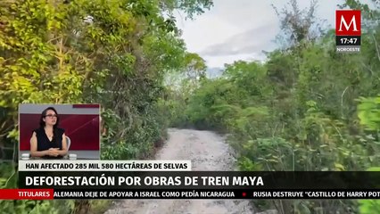 Disminuyen al 31.6% el nivel de presas del Cutzamala