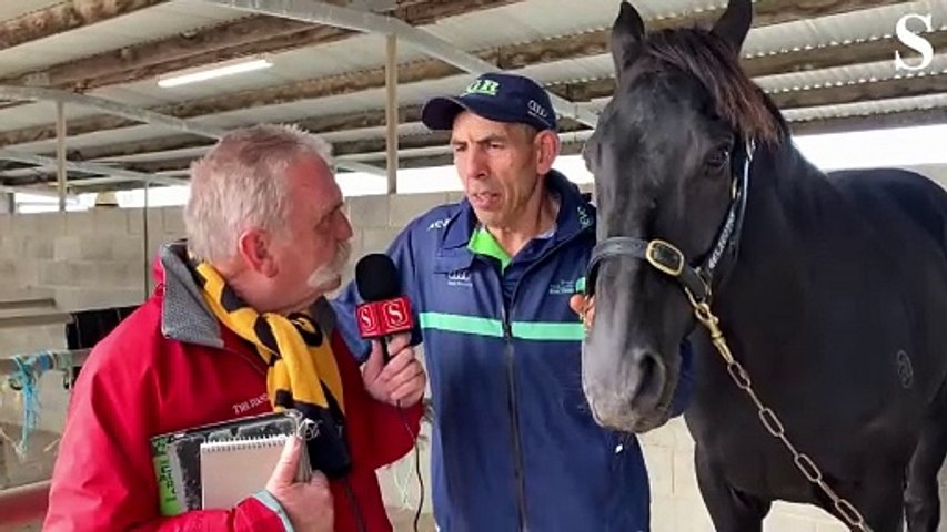 Watch: The Standard's Tim Auld with Blandford Lad trainer Peter Gelagotis before the Galleywood Hurdle