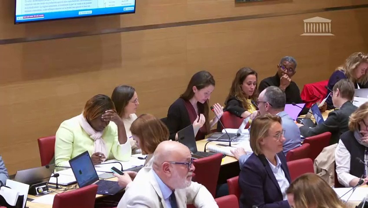 Commission du développement durable : Souveraineté en matière agricole et renouvellement des générations en agriculture (suite) - Lundi 29 avril 2024