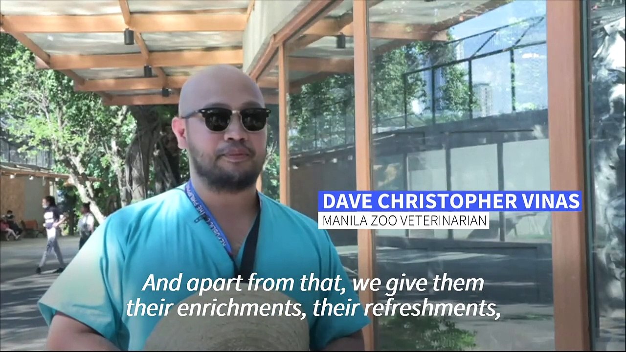 'Bloodsicles', baths keep Philippine zoo animals cool as heatwave hits