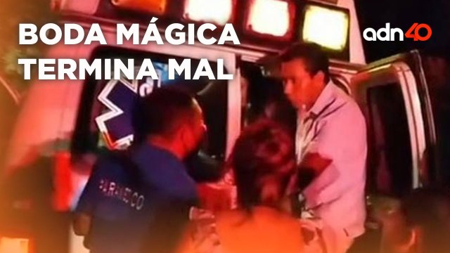 Invitados terminan intoxicados por ingerir hongos salvajes en boda I Súbete al Mame