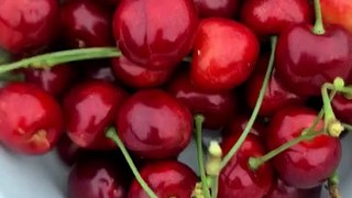 manfaat buah ceri untuk kesehatan kita