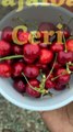 manfaat buah ceri untuk kesehatan kita