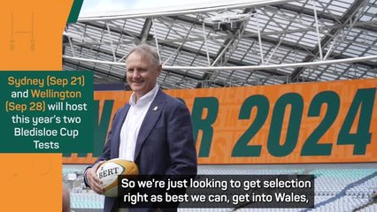 Schmidt looking to the short term ahead of the Bledisloe Cup