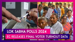 Lok Sabha Polls 2024: 66.14% Voter Turnout In Phase 1 And 66.71% In Phase 2, Election Commission Releases Final Data