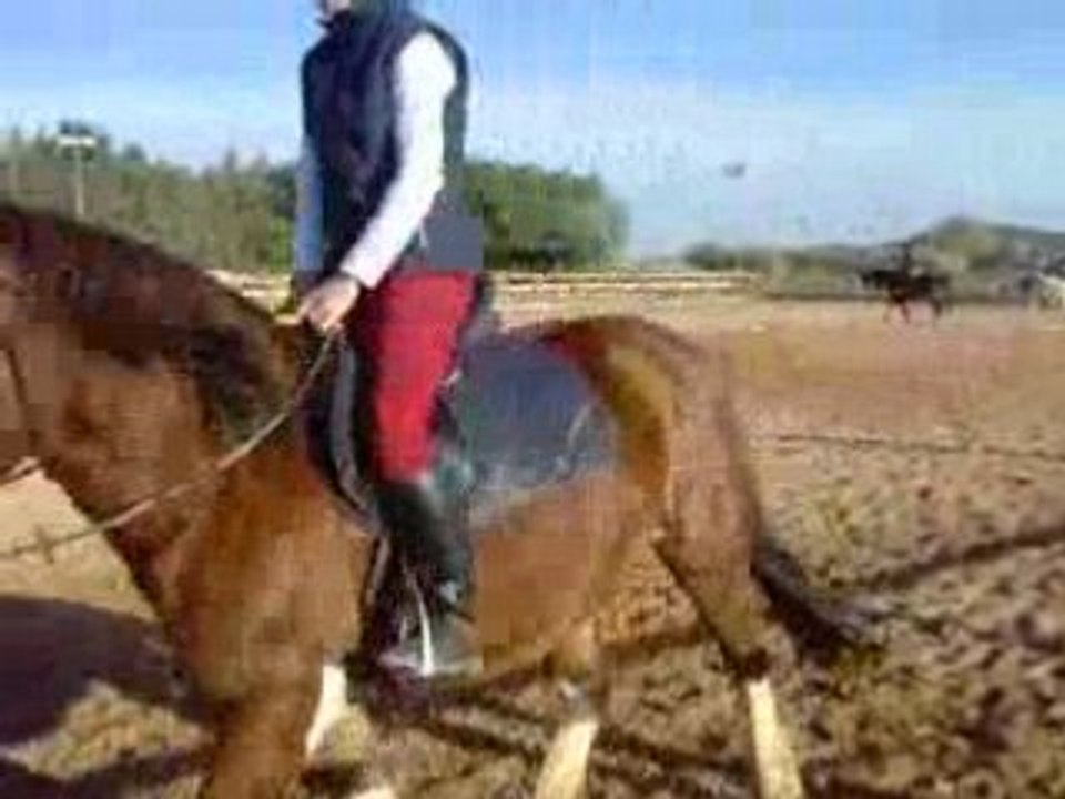 Lou sur gitane