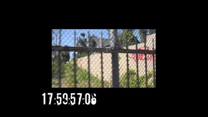 Marvin Gaye: His Final Hours (2011)