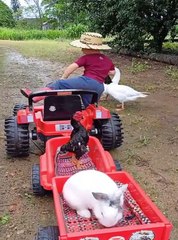 Bu kadarı ancak sirkte olur, çocuk tek başına gösterdi