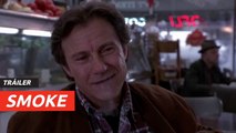 Tráiler de Smoke con guion de Paul Auster