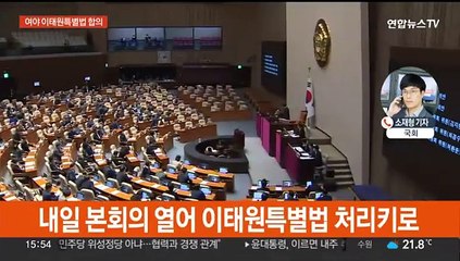 여야, 이태원특별법 합의…내일 국회 본회의 처리