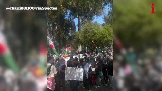 Pro-Palestine protesters clash with counter protesters at UCLA