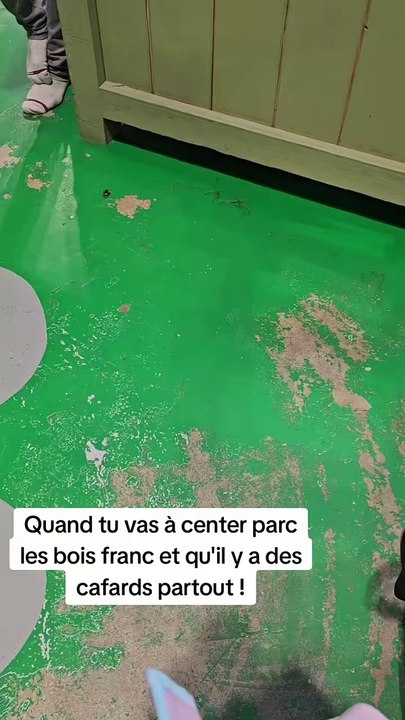 Des cafards à Center Parcs