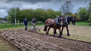 Some more footage from the horse ploughing at the Country Skills Day at Cultra