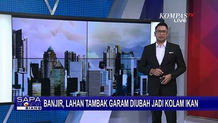 Petani Garam Indramayu Harapkan Bantuan Pemerintah untuk Atasi Banjir yang Genangi Tambak!
