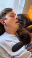 Beaver Falls Asleep in Arms of Man Sleeping on Couch