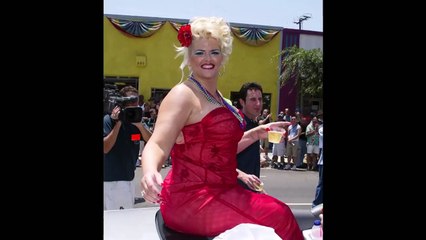 Anna Nicole Smith: Her Final Hours (2010)