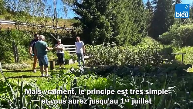 Concours des Jardins Potagers 2024