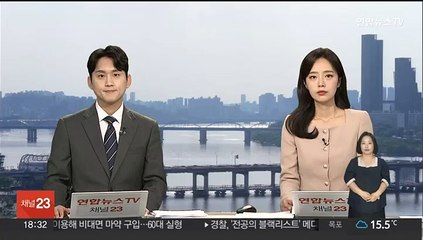 에스토니아 "러시아가 전파 교란"…항공운항 중단도