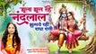 झूला झूल रहे नन्दलाल झुलाये रही है राधा रानी | Jhoola Jhool Rahe Nandlal | Shri Radha Krishna Bhajan