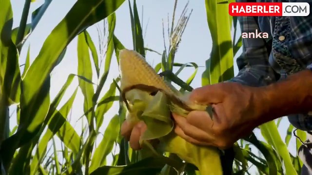 CHP Genel Başkanı Özgür Özel 1 Mayıs İşçi Bayramı'nı kutladı