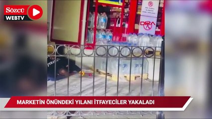 Marketin önündeki yılanı itfaiyeciler yakaladı