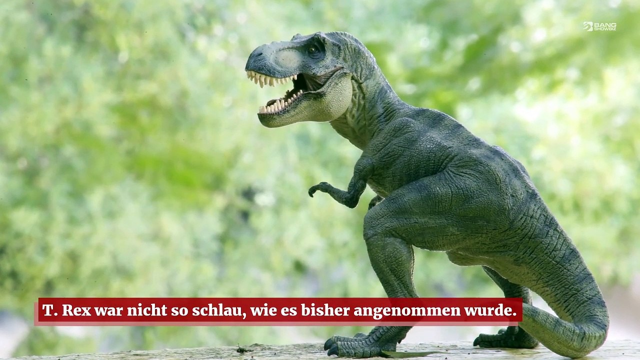 T. Rex soll nicht so schlau wie vermutet gewesen sein