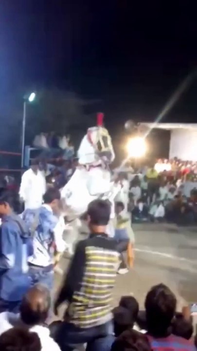 Marriage party  Horse  India 