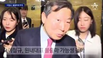 친윤 이철규, 원내대표 불출마 가닥