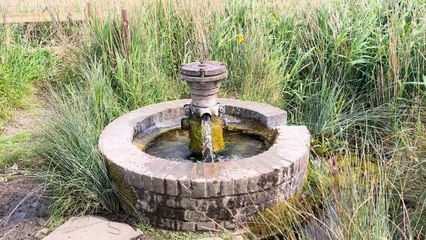 We visited Oare Marshes Nature Reserve